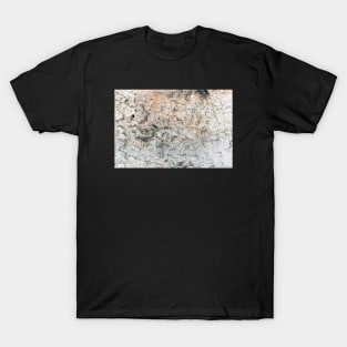 Eroding And Crackling Stone Wall Falling Apart T-Shirt